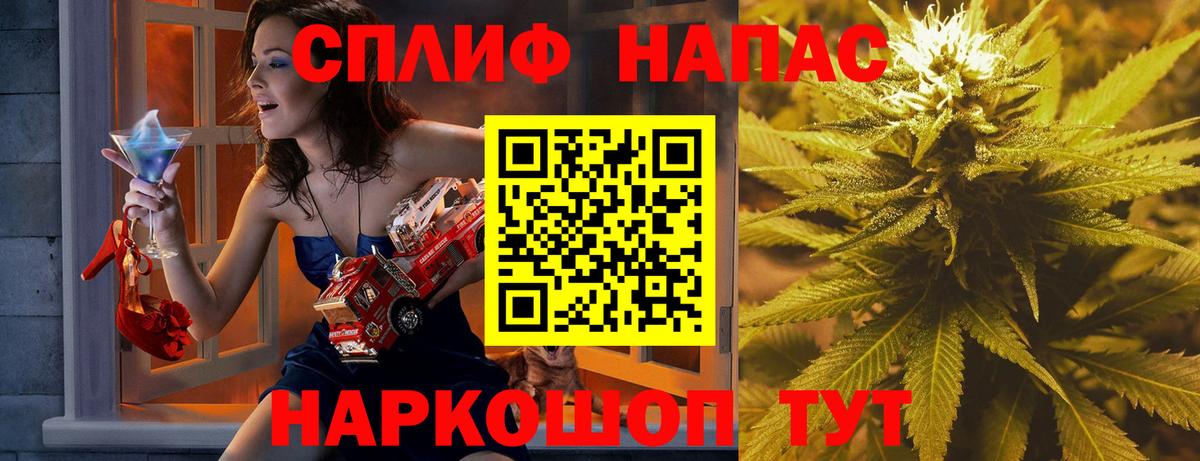 МАРИХУАНА семена Новозыбков
